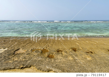 鹿児島県　沖永良部島の大津勘ビーチロック 79119417