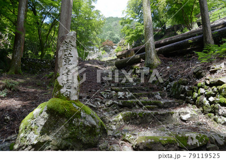 古知谷阿弥陀寺 参道の石碑 京都市左京区大原 古知谷阿弥陀寺 参道の石碑 京都市左京区大原 79119525