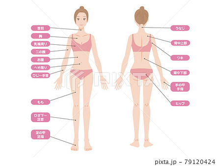 Hair Loss Site On The Whole Body Of A Woman Stock Illustration