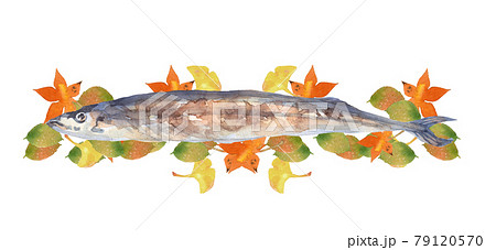 秋刀魚と紅葉の水彩画 79120570