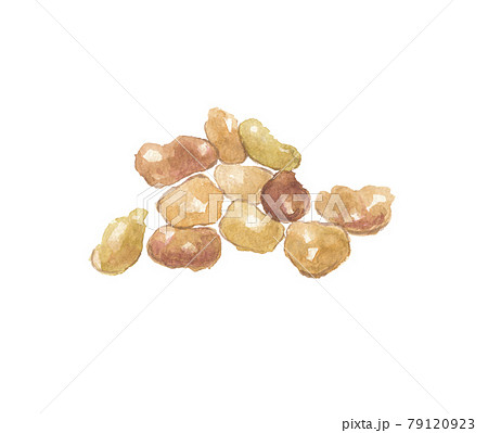 ニュウコウジュ　乳香　樹脂 79120923