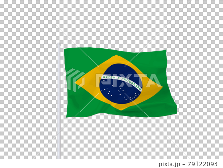 ブラジル連邦共和国の国旗 ブラジル連邦共和国の国旗 79122093