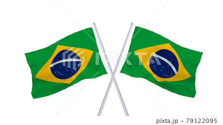 ブラジル連邦共和国の国旗 ブラジル連邦共和国の国旗 79122095