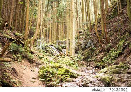 金剛山 金剛山 79122595