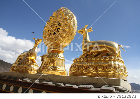 松賛林寺 松賛林寺 79122973
