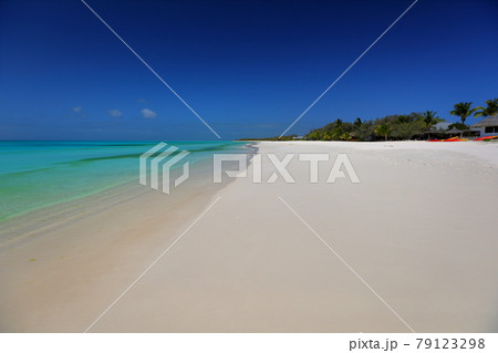 南太平洋メラネシアのニューカレドニア　ロワイヨテ諸島の天国に一番近い島ウヴェア島　ムリのビーチと海 79123298
