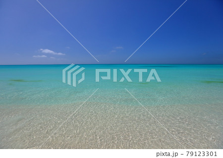 南太平洋メラネシアのニューカレドニア　ロワイヨテ諸島の天国に一番近い島ウヴェア島　ムリの青い海 79123301