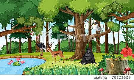 Forest scene with different wild animals 79123632