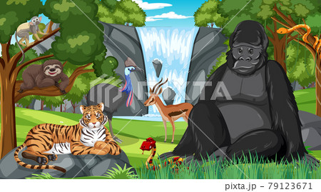 Gorilla with other wild animals in the forest or rainforest scene Gorilla with other wild animals in the forest or rainforest scene 79123671