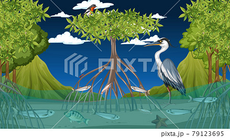 Animals live in mangrove forest at night scene 79123695