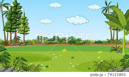 Blank nature park landscape at daytime scene 79123803