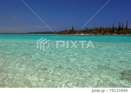 南太平洋メラネシアのニューカレドニア　ロワイヨテ諸島の天国に一番近い島ウヴェア島　レキン湾の青い海 79123840