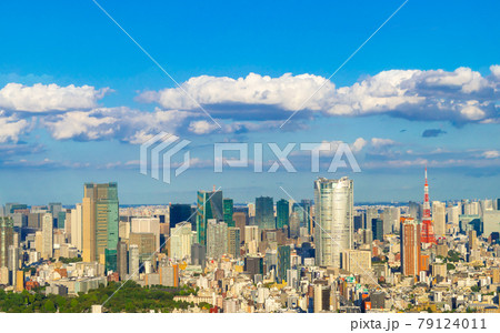 東京夕景　渋谷から望む大都会　 79124011