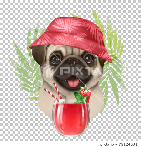 Beautiful illustration of cute summer dog with cocktail. 79124531