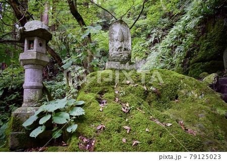 山寺03 79125023