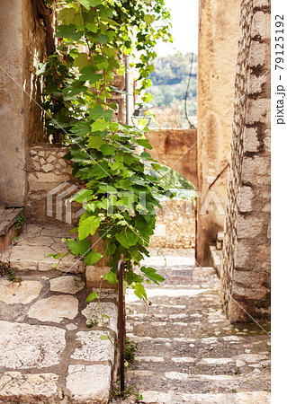 Street in the village of Saint-Paul-de-Vence in the south of France Street in the village of Saint-Paul-de-Vence in the south of France 79125192