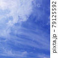 空　青空　雲　風景　背景 79125592