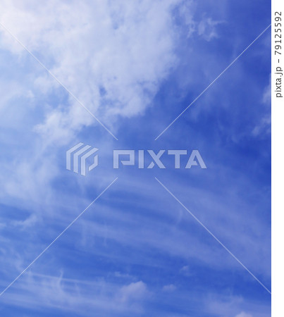 空 青空 雲 風景 背景 空 青空 雲 風景 背景 79125592