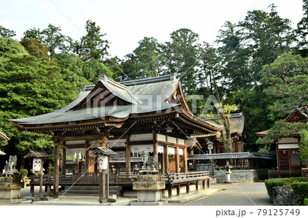 老蘇の森 奥石神社拝殿 【滋賀県近江八幡市安土町】 老蘇の森 奥石神社拝殿 【滋賀県近江八幡市安土町】 79125749