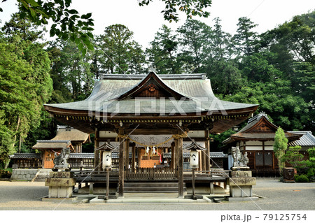 老蘇の森　奥石神社拝殿　【滋賀県近江八幡市安土町】 79125754