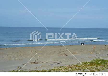 海 海 79125842