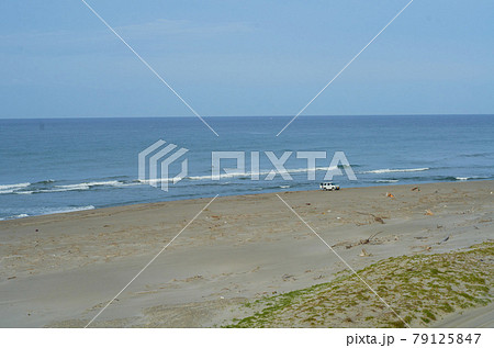 海 海 79125847