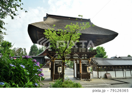 沙沙貴神社 楼門(県指定重文) 【滋賀県近江八幡市安土町】 沙沙貴神社 楼門(県指定重文) 【滋賀県近江八幡市安土町】 79126365