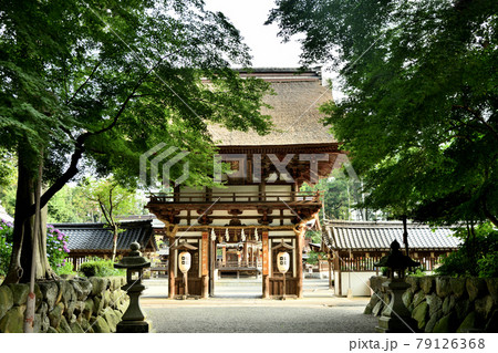 沙沙貴神社 楼門(県指定重文) 【滋賀県近江八幡市安土町】 沙沙貴神社 楼門(県指定重文) 【滋賀県近江八幡市安土町】 79126368