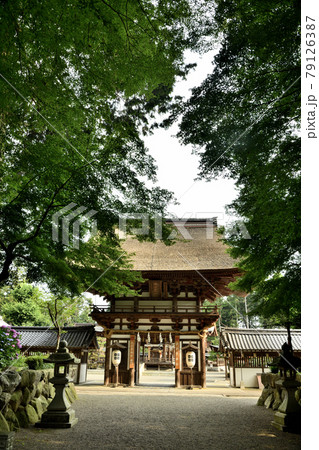沙沙貴神社 楼門(県指定重文) 【滋賀県近江八幡市安土町】 沙沙貴神社 楼門(県指定重文) 【滋賀県近江八幡市安土町】 79126387