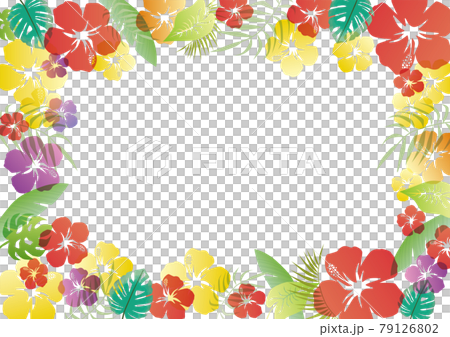 カラフルなハイビスカスの背景素材　ベクター　イラスト　グラデーション　花　夏　初夏　夏休み 79126802