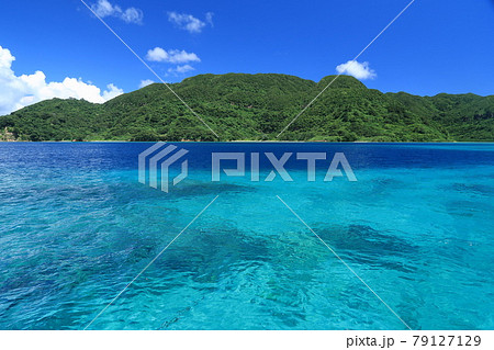 西表島 船浮湾 西表島 船浮湾 79127129