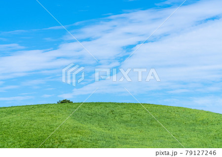 草原と青空の写真 青い空・白い雲 草原と青空の写真 青い空・白い雲 79127246
