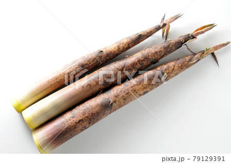 真竹 真竹 79129391