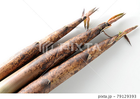 真竹 真竹 79129393