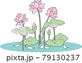 蓮 79130237