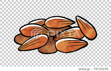 Lots of almond nuts 79130240