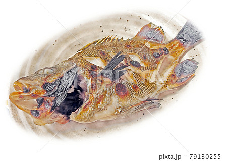 家庭的で素朴な自宅調理の たもりの塩焼き 水彩画風 絵手紙のイラスト素材