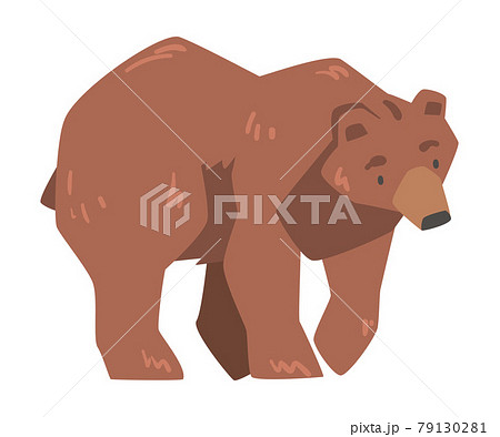 Walking Brown Bear Large Wild Predator Mammal のイラスト素材