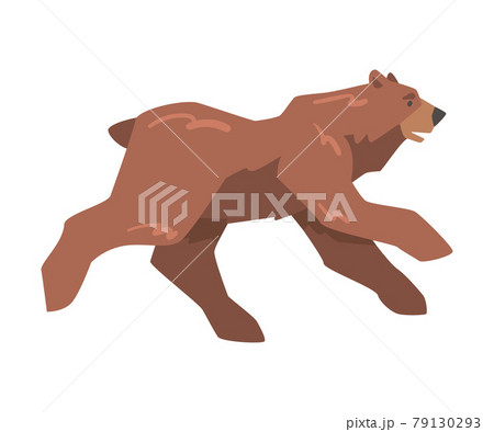 Running Brown Bear Large Wild Predator Mammal Stock Illustration