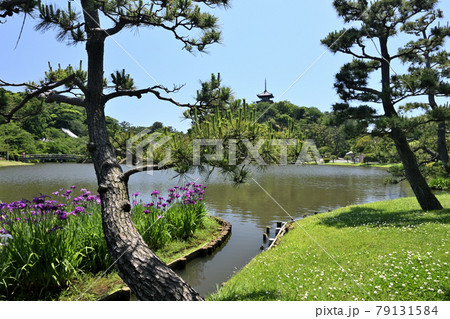 三渓園 初夏 三渓園 初夏 79131584