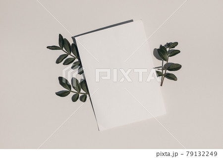 Summer wedding stationery mock-up. Blank greeting card, invitation and dark green lentisk leaves on beige table background in sunlight. Natural light and shadow overlay. Flat lay, top view. Summer wedding stationery mock-up. Blank greeting card, invitation and dark green lentisk leaves on beige table background in sunlight. Natural light and shadow overlay. Flat lay, top view. 79132249