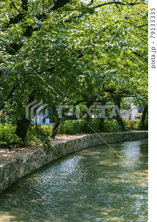 高瀬川(京都市) 高瀬川(京都市) 79133335