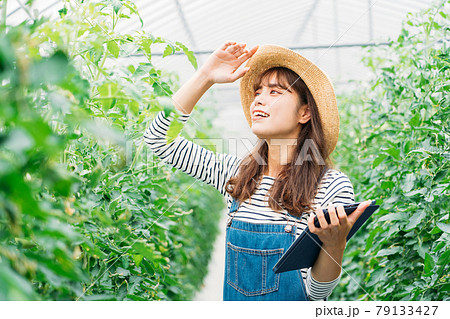 スマートアグリ（スマート農業） 79133427