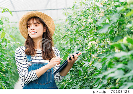 スマートアグリ(スマート農業) スマートアグリ(スマート農業) 79133428