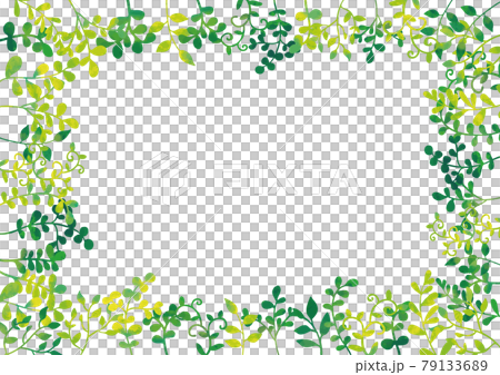北欧風 植物柄(水彩テイスト)フレーム 囲み 北欧風 植物柄(水彩テイスト)フレーム 囲み 79133689