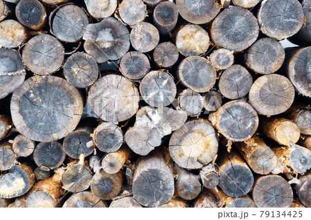 Wooden log wooden background. Fuel. Harvesting firewood for the winter. 79134425