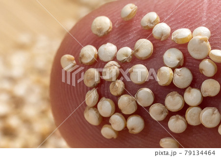 Uncooked quinoa macro image close-up selective focus. 79134464