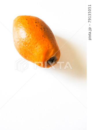 パパイヤ8 パパイヤ8 79135051