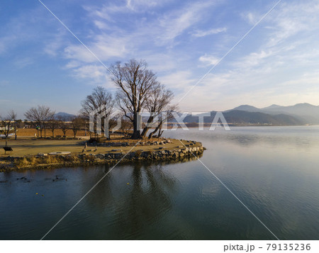 風景 霧 湖 79135236
