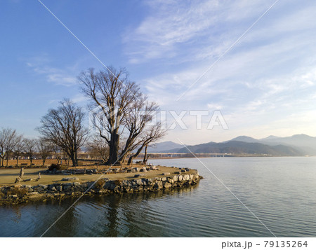 風景 湖 木 79135264